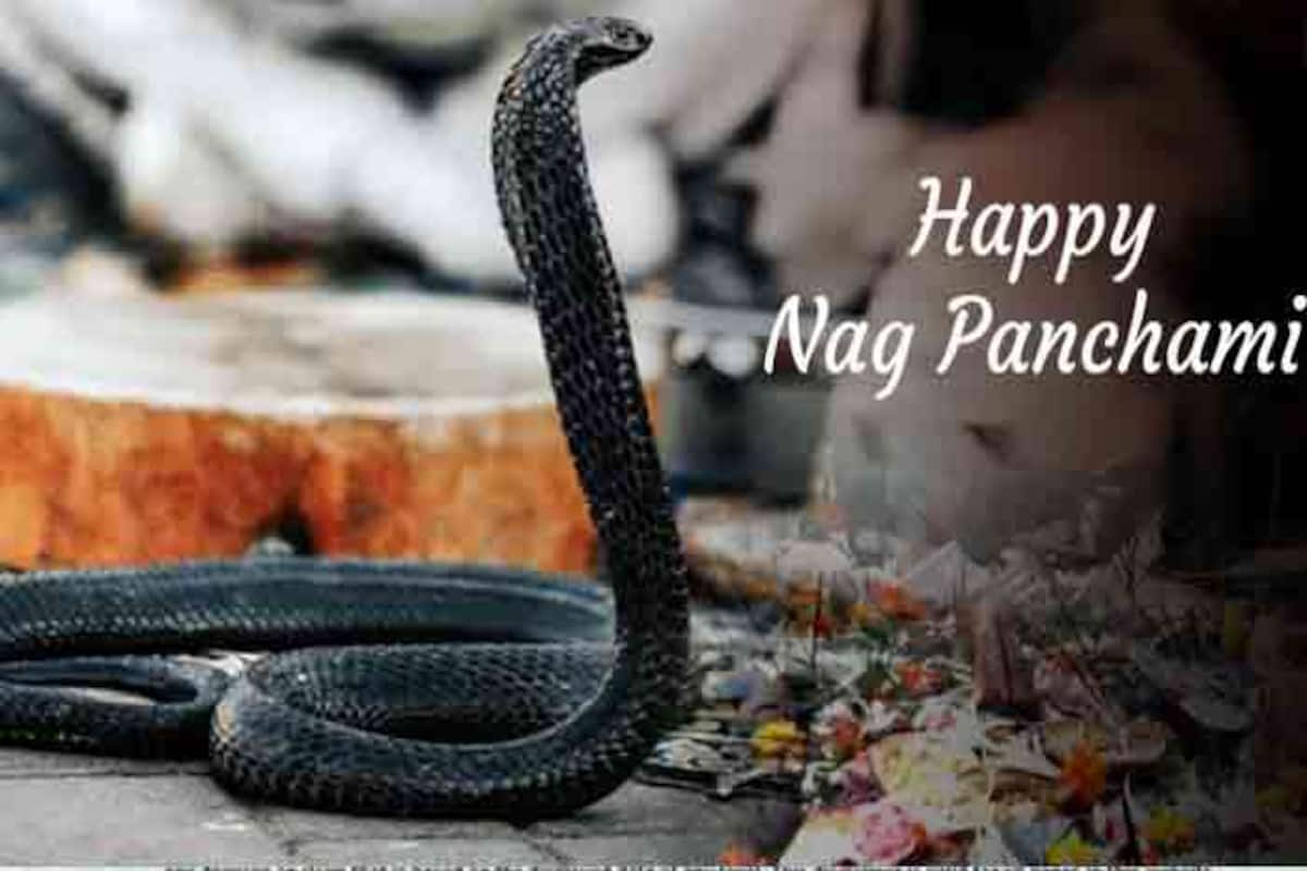 Nag Panchami 2019: Significance, Importance And Everything You ...