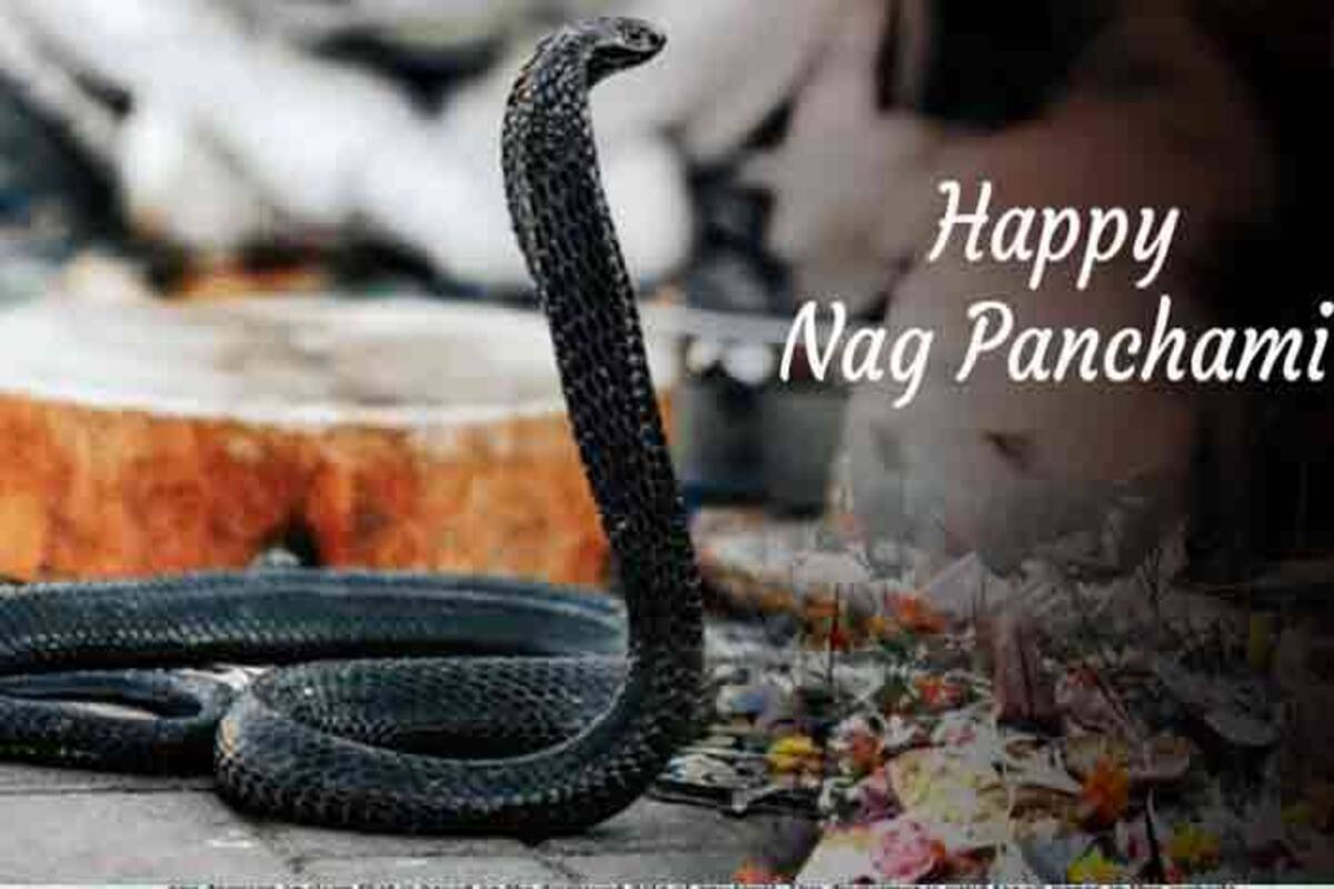 Nag Panchami 2019: Significance, Importance And Everything You ...