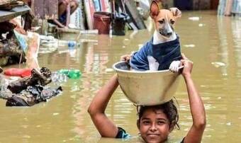 Rat Fever' Adds to Flood-Hit Kerala's Woes; State on High Alert After 12 Deaths in Last 3 Days, 372 Confirmed Cases Rat Fever' Adds to Flood-Hit Kerala's Woes; State on High Alert After 12 Deaths in Last 3 Days, 372 Confirmed Cases