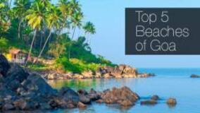 Love The Beach? Check Out The Top 5 in Goa That You Can Visit