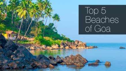 Love The Beach? Check Out The Top 5 in Goa That You Can Visit