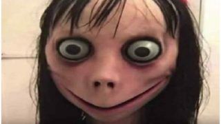 After Blue Whale Challenge, Momo Whatsapp Suicide Game Leaves People in Panic After Blue Whale Challenge, Momo Whatsapp Suicide Game Leaves People in Panic