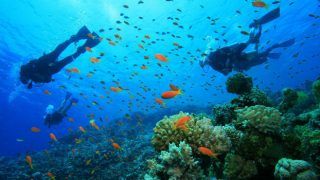 5 best places to go scuba diving in India 5 best places to go scuba diving in India