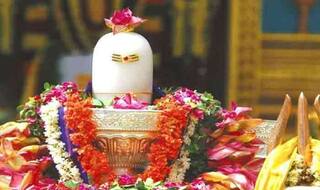 Maha Shivratri 2020: राशि के अनुसार शिवलिंग पर जलाभिषेक कर चढ़ाए ये चीजे, भोलेनाथ की कृपा संग बरसेगा पैसा