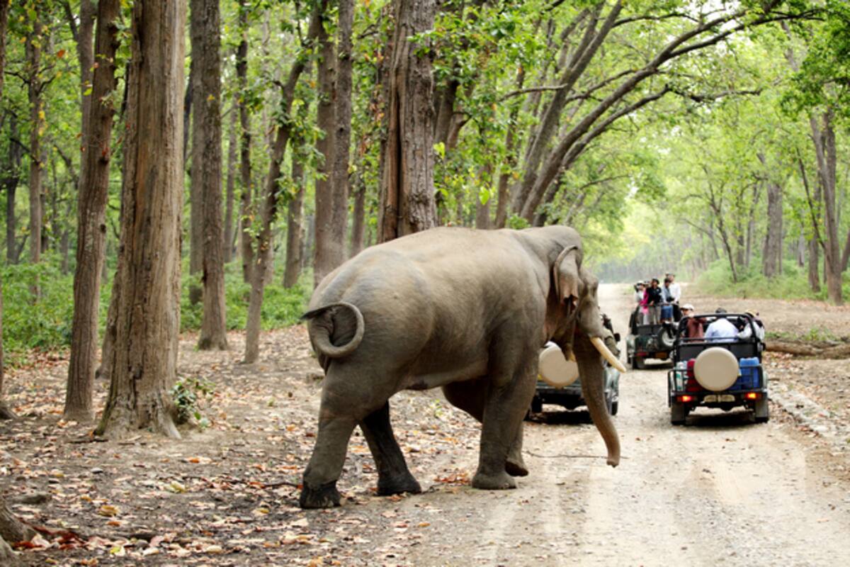 jim corbett tour package