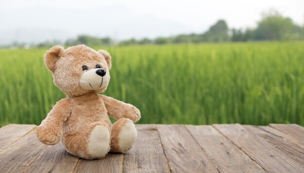 How Did the Teddy Bear Get Its Name?