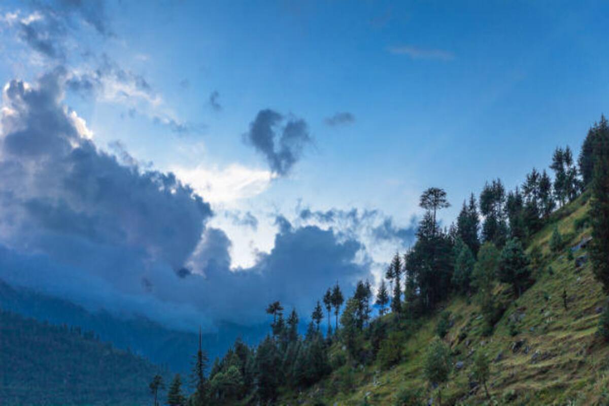 Delhi to Solan: How to reach Solan from Delhi by road | India.com