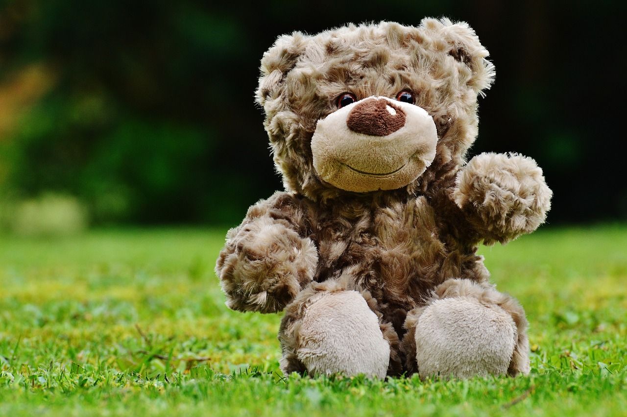 Soft Toy