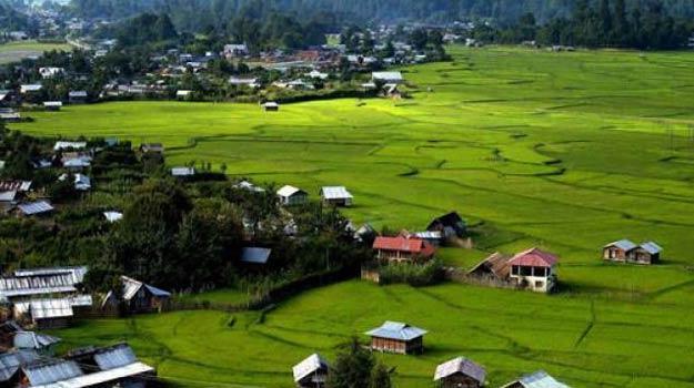 5 Reasons Why You Must Choose Ziro In Arunachal Pradesh Over The Scottish  Pastures