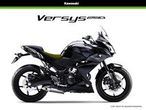 Kawasaki Z250 based Versys 250 Adventure Bike in works