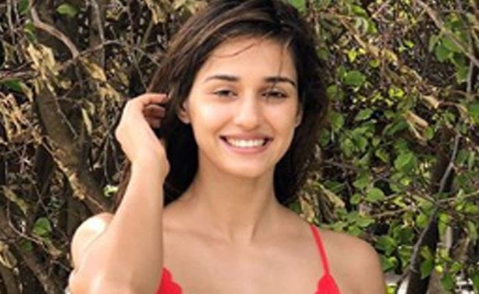 721719-disha