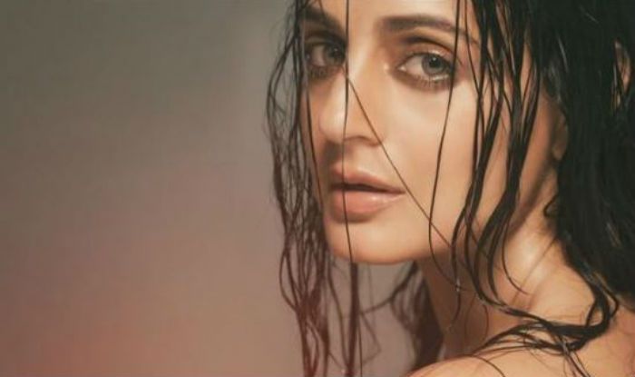 Ameesha Patel’s Look in Latest Instagram Post is Just Too Hot to Handle