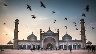 On a Food Trail Through Old Delhi On a Food Trail Through Old Delhi
