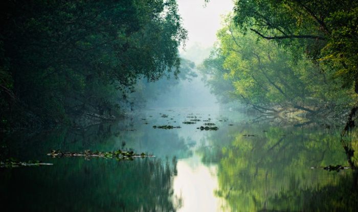 You May Have Experienced Howrah Bridge And Hoogli River; Time to ...