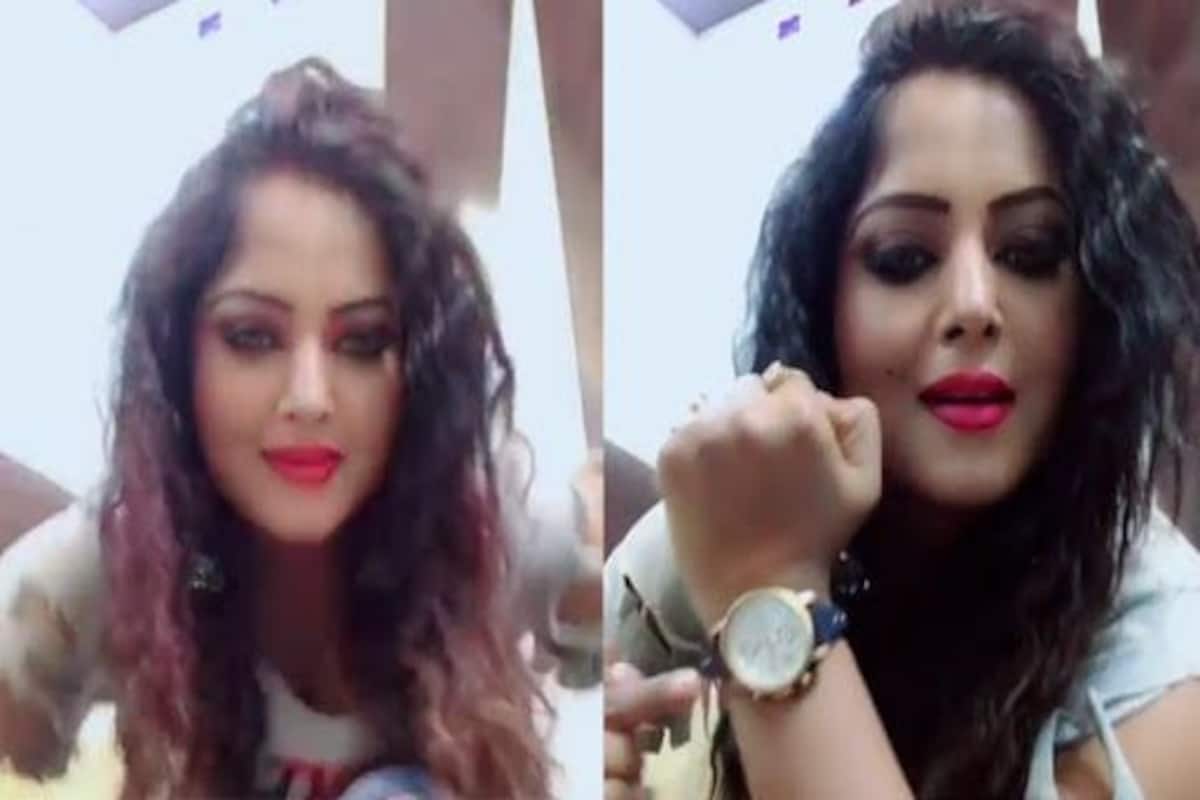 Anjana Singh X Video - Bhojpuri Sizzler Anjana Singh Looks Hot as She Flaunts Her Sexy Thumkas on  Tony Kakkar's Song Ludo â€“ Watch Viral Video | India.com