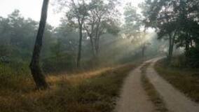 Go Off-The-Beaten Track by Taking a Trip to Jharkhand