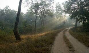 Go Off-The-Beaten Track by Taking a Trip to Jharkhand