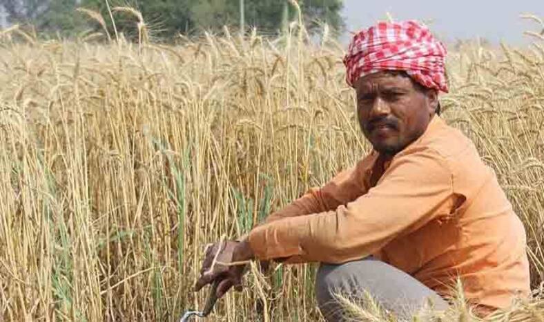 Check Name in PM Kisan Samman Nidhi Beneficiary List