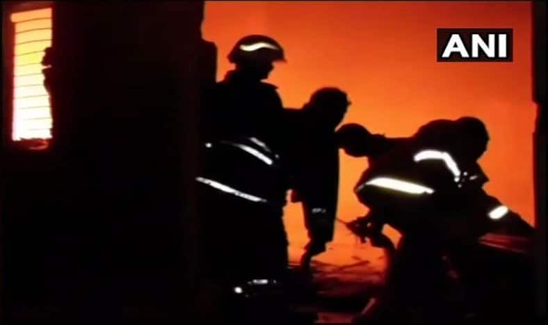 Mumbai: 5 Dead, 2 Injured in Level-3 Fire at Tilak Nagar's Sargam Society; 5 Fire Tenders Present