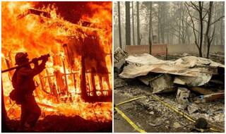 कैलिफोर्निया के जंगलों में भीषण आग: 56 लोगों की मौत, 130 लापता, बचाव अभियान जारी