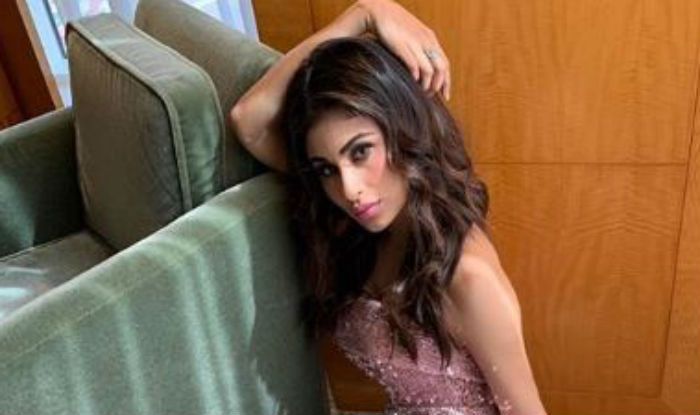 Naagin Fame Mouni Roy Looks Uber Hot as She Sensuously Poses in Shimmery Pink Gown – See Pictures Naagin Fame Mouni Roy Looks Uber Hot as She Sensuously Poses in Shimmery Pink Gown – See Pictures