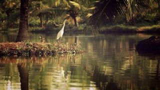 Top Islands An Intrepid Traveller Must Visit in India Top Islands An Intrepid Traveller Must Visit in India