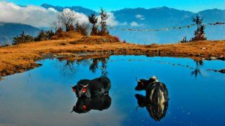 Why Arunachal Pradesh’s Penga Teng Tso Should be on Your Bucket List Why Arunachal Pradesh’s Penga Teng Tso Should be on Your Bucket List