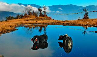 Why Arunachal Pradesh's Penga Teng Tso Should be on Your Bucket List