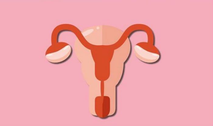 Simple Ovarian Cysts Don’t Require Surgical Removal: Study | India.com