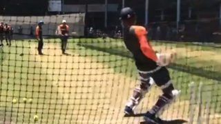 India vs Australia 1st Test, Adelaide: How KL Rahul is Gearing up to Face Mitchell Starc With Tennis Balls | WATCH India vs Australia 1st Test, Adelaide: How KL Rahul is Gearing up to Face Mitchell Starc With Tennis Balls | WATCH