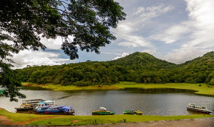 Periyar Boat Safari is The Best Way to Spot Elephants in The Wild ...