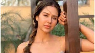 Punjabi Hotness Sonam Bajwa Raises Temperature With Her Sunkissed Picture, See Here Punjabi Hotness Sonam Bajwa Raises Temperature With Her Sunkissed Picture, See Here