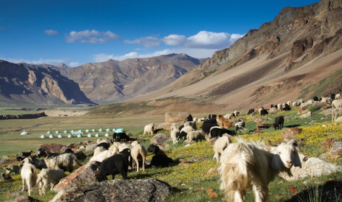 Heading To Lahaual-Spiti Valley Soon? You Might Have to Pay Green Tax