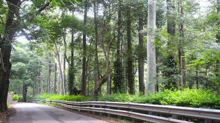 5 Quick Monsoon Getaways From Chennai 5 Quick Monsoon Getaways From Chennai