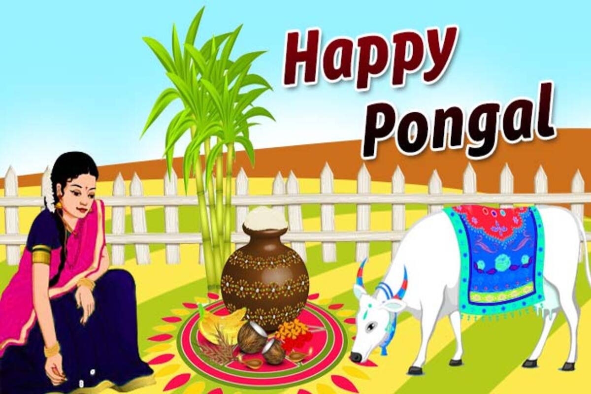 Pongal 2019: Date, Time, Muhurat, Importance And Significance of ...