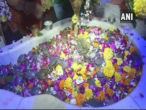 Devotees offer live crabs to Lord Shiva