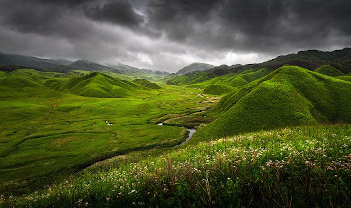 Heavenly Dzükou Valley: The Complete Guide To Visiting Nagaland's Hidden  Paradise - Twobirdsbreakingfree