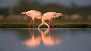 Jamnagar: A Hidden Gem in Gujarat Jamnagar: A Hidden Gem in Gujarat