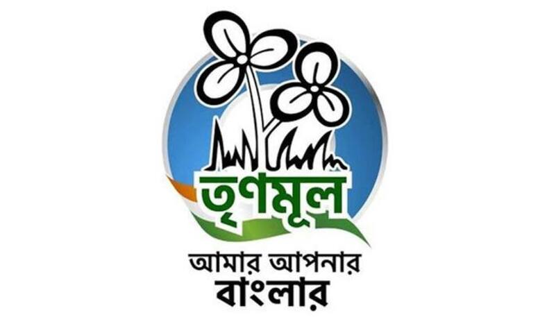 Trinamool Congress logo