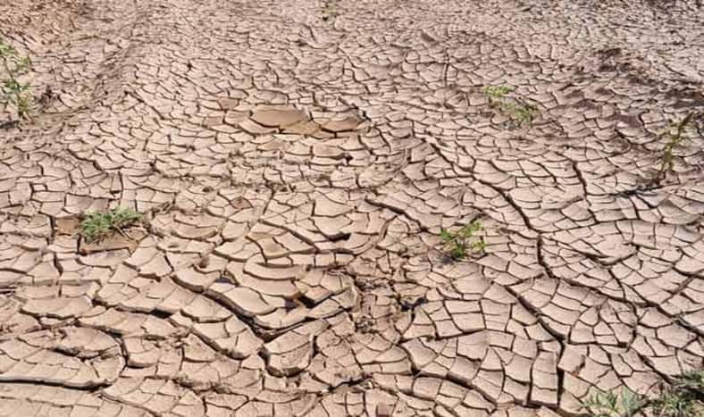 Drought