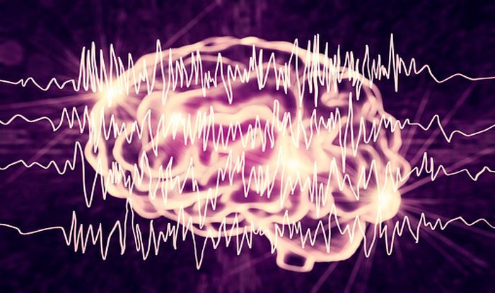 Purple Day 2019: 5 Facts About Epilepsy You Must Know About | India.com