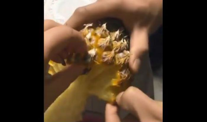 We Have Been Eating Pineapple Wrong All These Years, Watch The Right Way We Have Been Eating Pineapple Wrong All These Years, Watch The Right Way