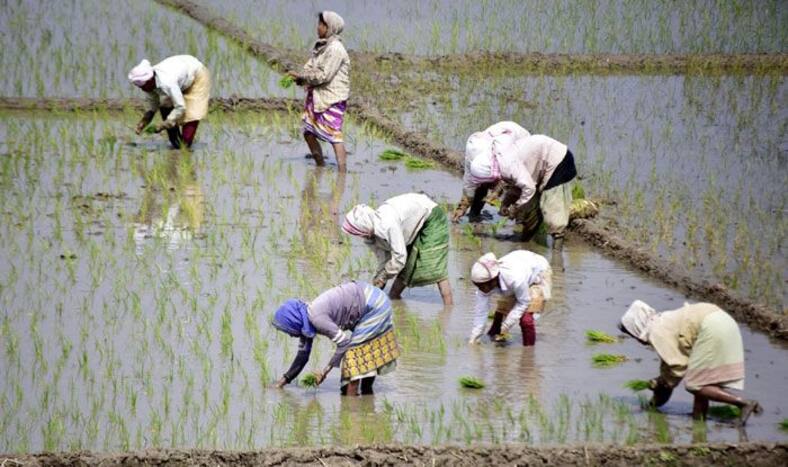 Pradhan Mantri Kisan Maandhan Yojana