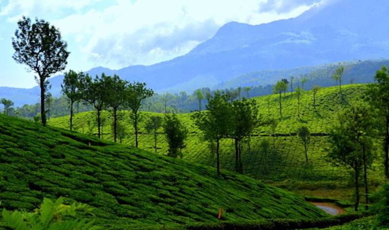 4 Best Things to do in Wayanad in Summer | India.com