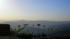 Here's Why You Must Give Shimla a Miss, And Head to Mashobra Instead