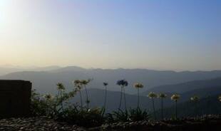 Here's Why You Must Give Shimla a Miss, And Head to Mashobra Instead