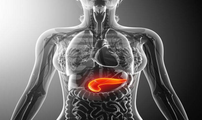 Pancreatic Cancer: High Body Mass Index And Other Risk Factors | India.com