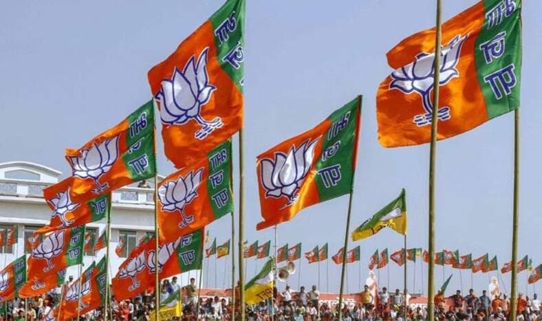 Lok Sabha Elections 2019: BJP Sets Congress' Tail on Fire in Jaipur, Alwar, Bharatpur, Karauli–Dholpur, Dausa, Tonk–Sawai Madhopur and Ajmer Seats in Rajasthan