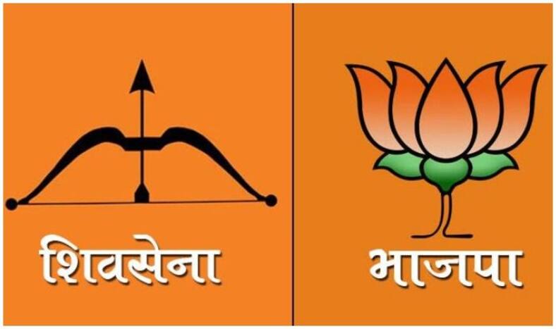 Lok Sabha Elections Results 2019: BJP-Sena Steer Madha, Sangli, Ratnagiri-Sindhudurg, Kolhapur, Hatkanangle Seats in Maharashtra, NCP Takes Satara
