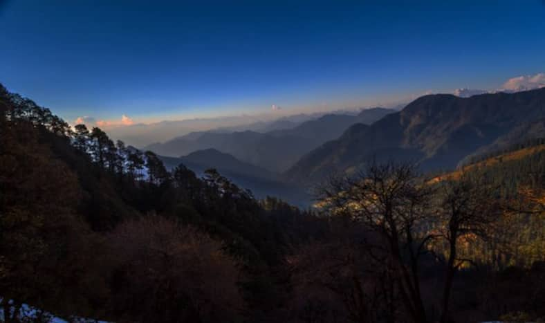 Shoja: A Perfect Himalayan Getaway For Nature Enthusiasts | India.com